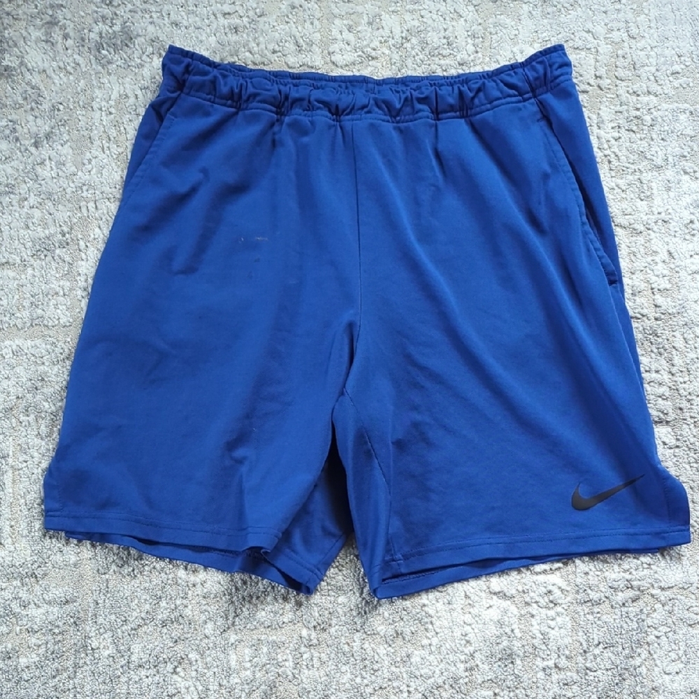 Nike Blue Athletic Shorts with Elastic Waistband